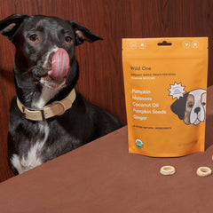 Pumpkin Spice Dog Treats By Wild One