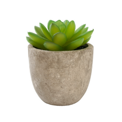 Mini Faux Succulent - Unboxme