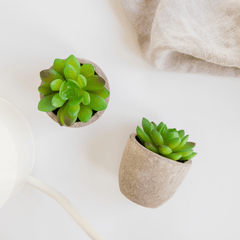 Mini Faux Succulent - Unboxme